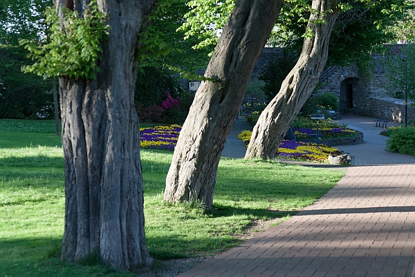 oberes schloss siegen - (c) r pattke.jpg